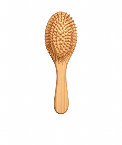 Brosse à Cheveux Professionnelle en Bois