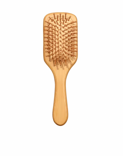 Brosse à Cheveux Professionnelle en Bois