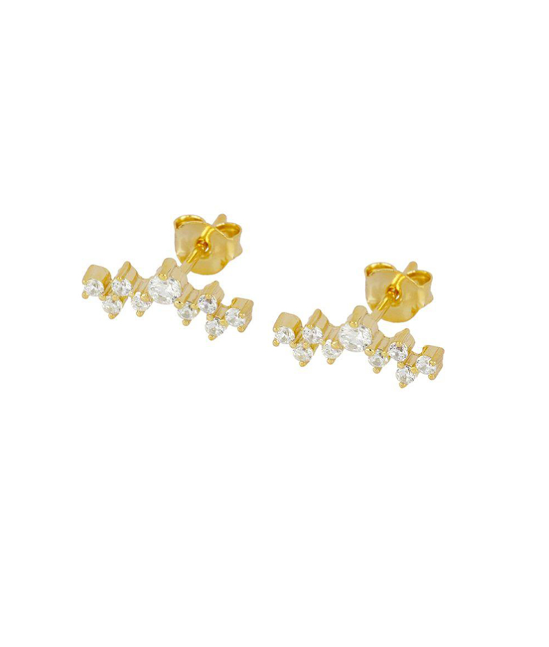 Puces d'oreilles brillantes Iris