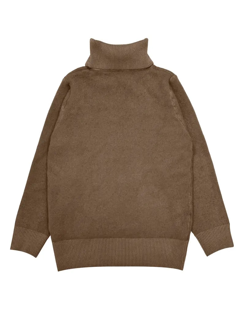 Pull col roulé chaud intérieur polaire